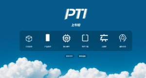 PTI��ϵͳ�Ż�����������������